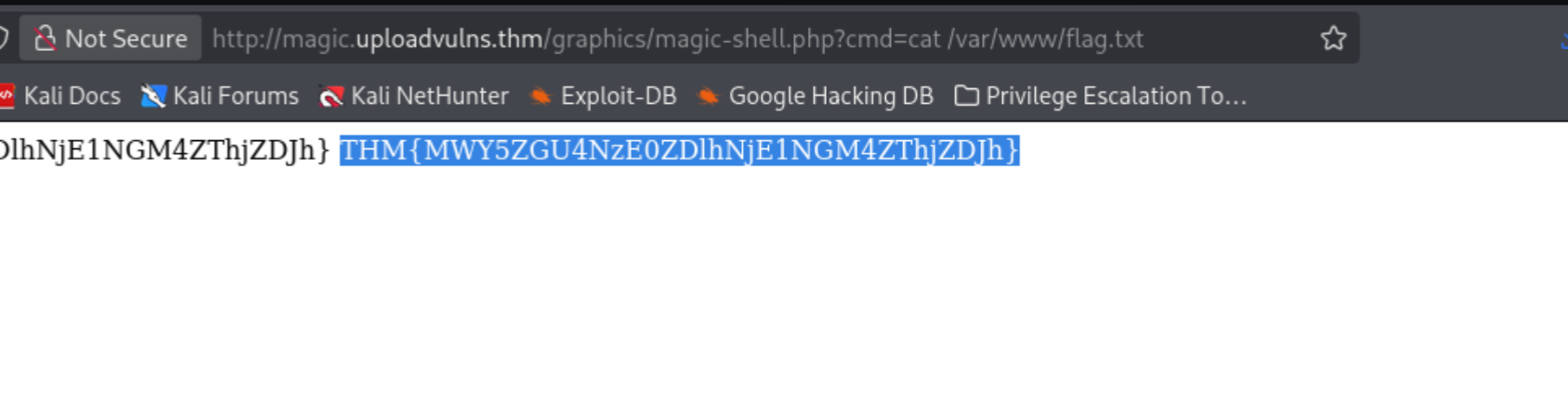 Flag retrieved via spoofed upload path